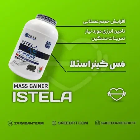 مس گینر استلا Mass Gainer ISTELA